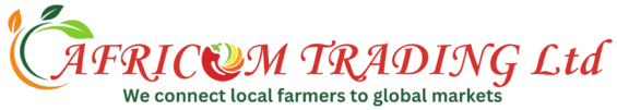 africom trading website header